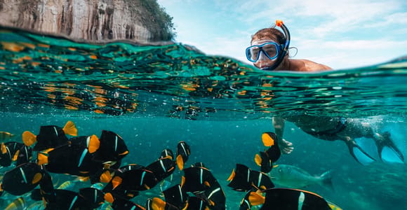 Puerto Vallarta: Los Arcos Snorkeling & Boat Tour