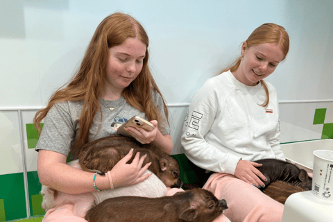 原宿：融合传统与流行文化的家庭之旅原宿：适合全家人体验的传统与流行文化的融合