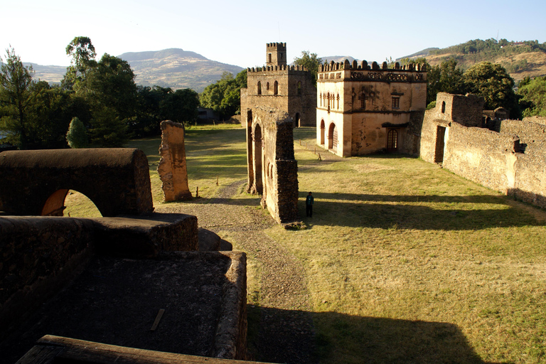 Addis Ababa: 14-Day Northern Ethiopia Tours