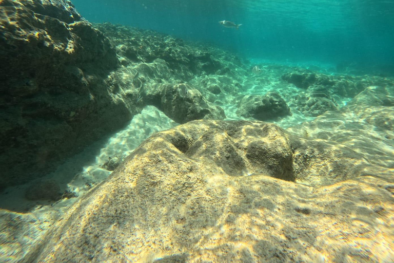 Morro Jable : Découverte de la plongée sous-marine pour les débutants