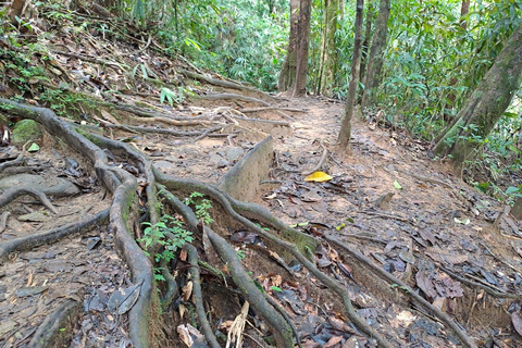 辛哈拉加雨林之旅