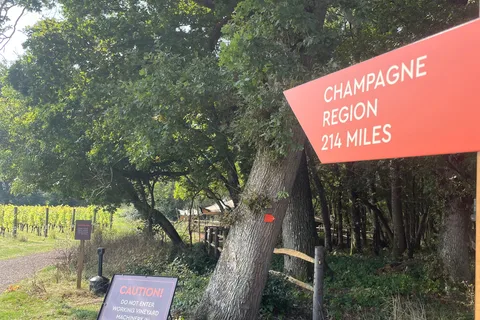 Fly & Vine Gatwick: Wine Tour transfer do hoteli w Brighton