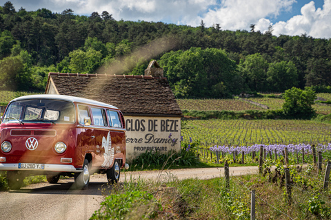 Dijon : visite de la Bourgogne en petit groupe à bord d&#039;un combi vintageDijon : visite de la Bourgogne en petit groupe à bord d&#039;un van vintage