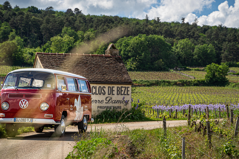 Dijon : visite de la Bourgogne en petit groupe à bord d&#039;un combi vintageDijon : visite de la Bourgogne en petit groupe à bord d&#039;un van vintage