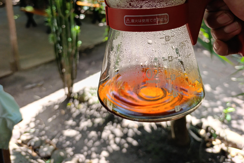 Cusco: Specialty Coffee Tasting-Sensory Experience (2 Hours)