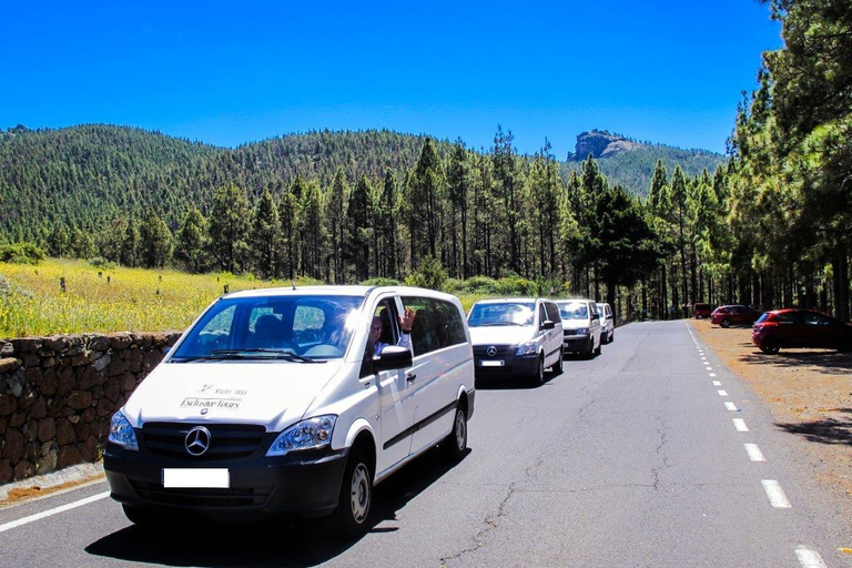 GRAN CANARIA: TOUR DEL NORD VIP con PRANZO FACOLTATIVO