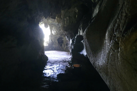 Half day Hiking Cat Ba National Park With guide