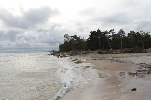 From Riga: Budget Day Trip to Kolka in Zen style!