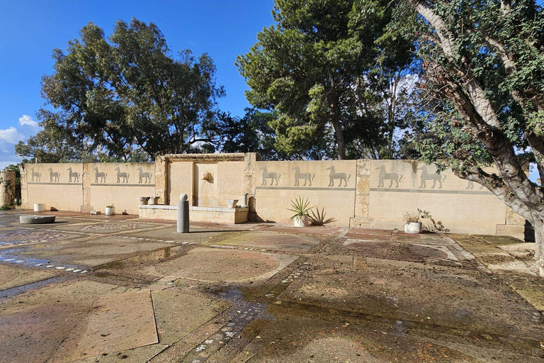 Excursión de un día a Cartago y Sidi Bou Said