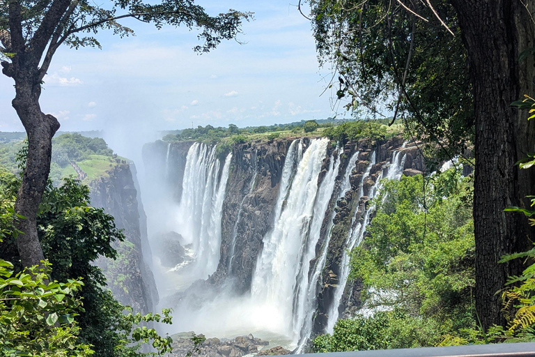 Victoria Falls Cross-Border Tour:Big Tree & Historic Bridge