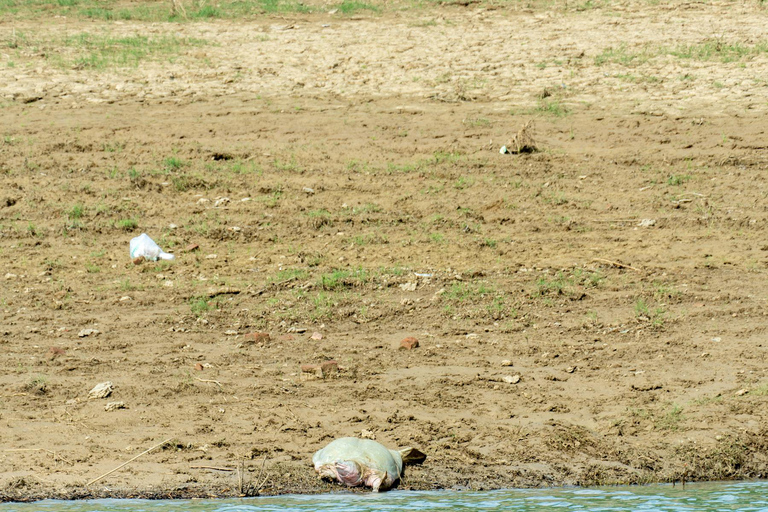From Agra: Day Trip to Chambal River Safari with Lunch