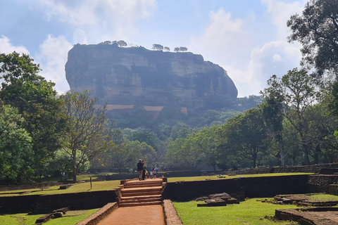 From Colombo: Sigiriya Rock Fortress Day Trip with Lunch