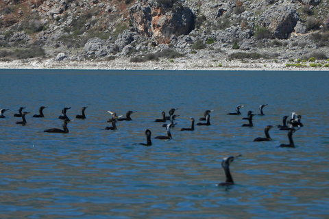 Birdwatching in Albania - Explore Shkodra Lake & Velipoja Birdwatching in Albania - Shkodra Lake & Velipoja Lagoon