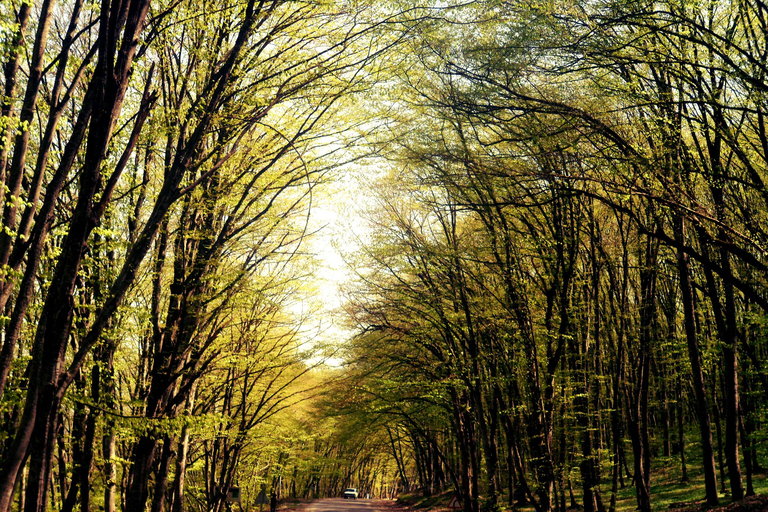 A Culinary Journey Through History and Nature