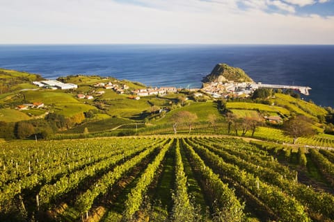 San Sebastián rural culture: vineyard visit and farm hiking
