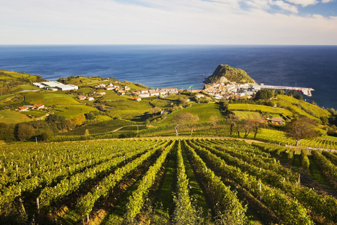 San Sebastián rural culture: vineyard visit and farm hiking