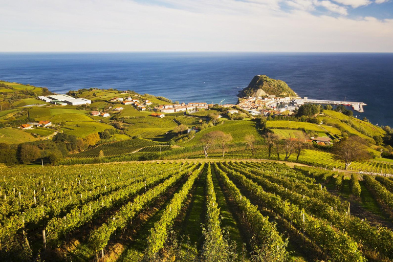 San Sebastián rural culture: vineyard visit and farm hiking