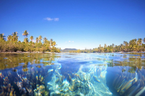 Tahaa & Raiatea: Coral Garden, Tropical Snorkeling, and Pearl Farm