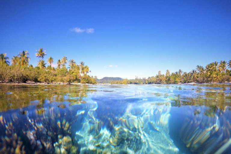Tahaa & Raiatea: Coral Garden, Tropical Snorkeling, and Pearl Farm