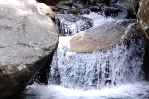 Ella: Zimt, Gewürzgarten &amp; Wasserfall-Tour