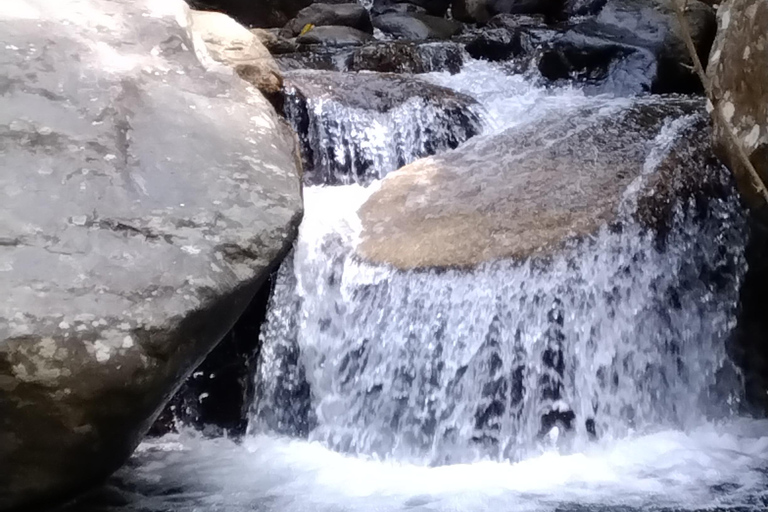 Ella: Zimt, Gewürzgarten &amp; Wasserfall-Tour