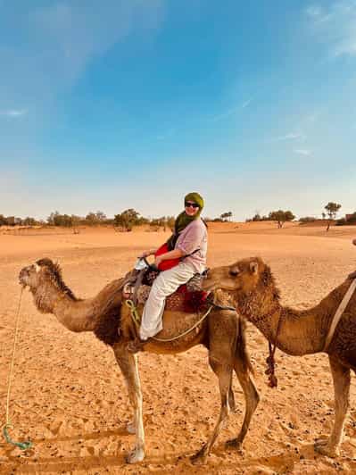 Depuis Marrakech : 3 jours dans le désert du Sahara - dromadaire