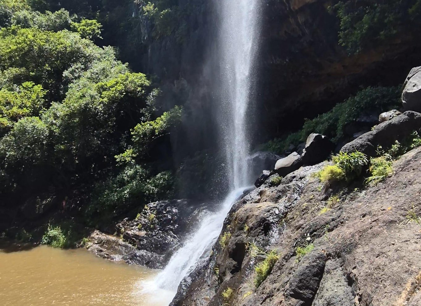 Mauritius: Tamarind-vandfaldene – nedfirning og canyoning ved syv vandfald