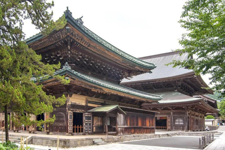Tokyo: City One Day Private Customizable Top Places Tour