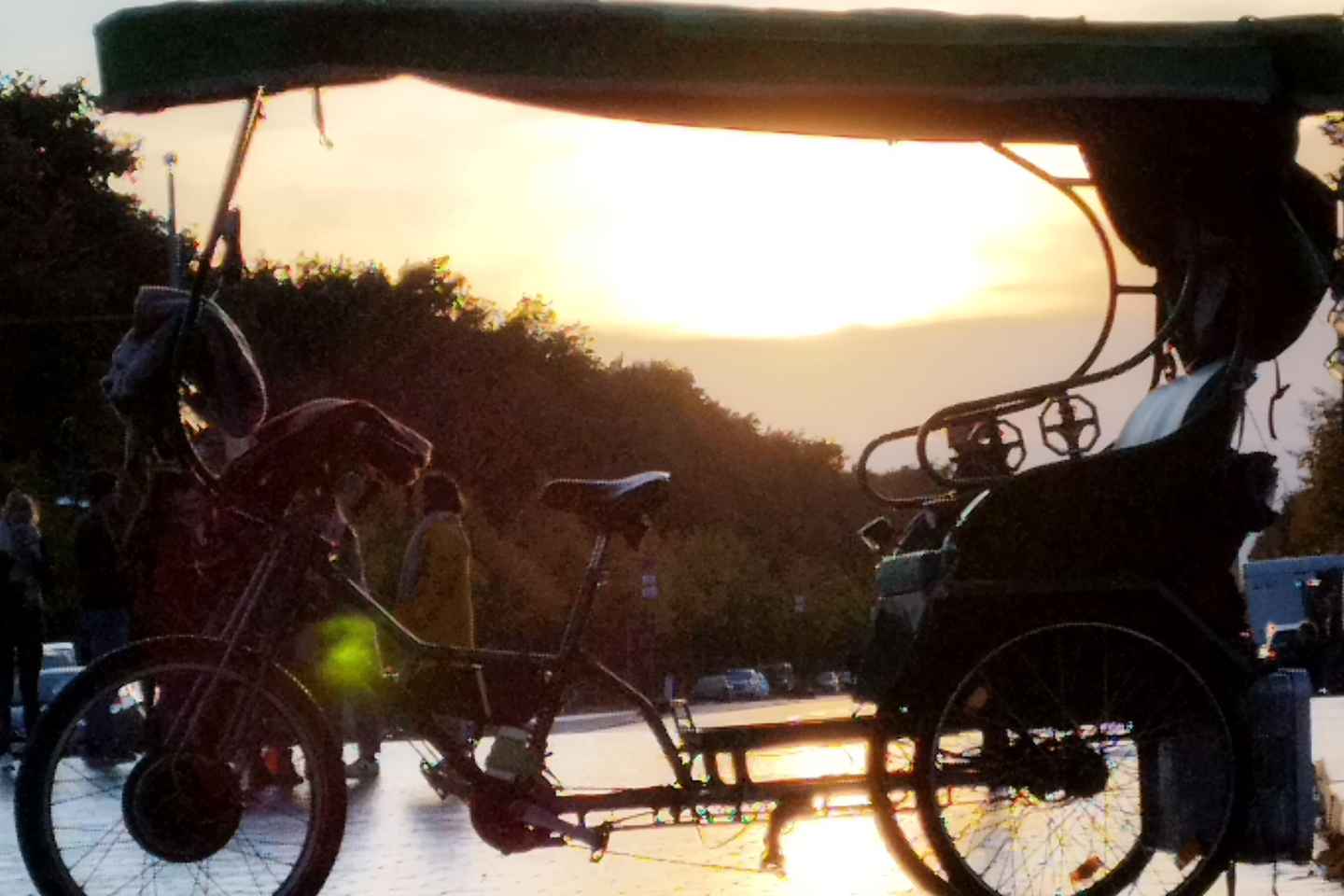 Unic Berlin (Multi) Rickshaw Private by Night Taylor Made