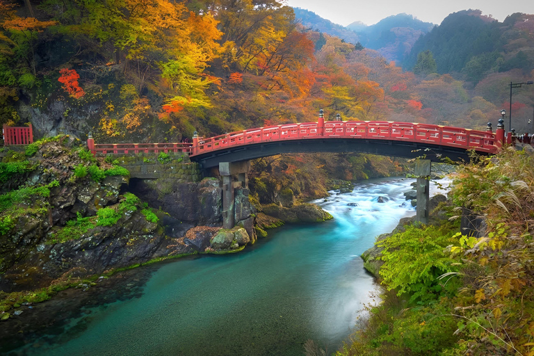 Tokyo: Nikko Private Day Trip with English Speaking Guide Tokyo or Nagoya: Nikko Private Day Trip with Guide
