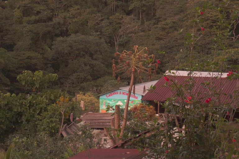 Santa Marta: 4-Day Sierra Nevada, Bunkuany & Tayrona Tour From Santa Marta: 4-Day Sierra Nevada, Bunkuany & Tayrona