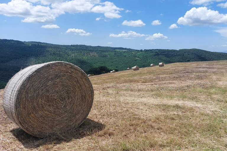 San Miniato: e-bike langzame tour (truffelheuvels)