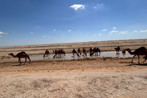 The Magic of Southern Tunisia: Private 3-Day Luxury Tour From Sousse / Monastir