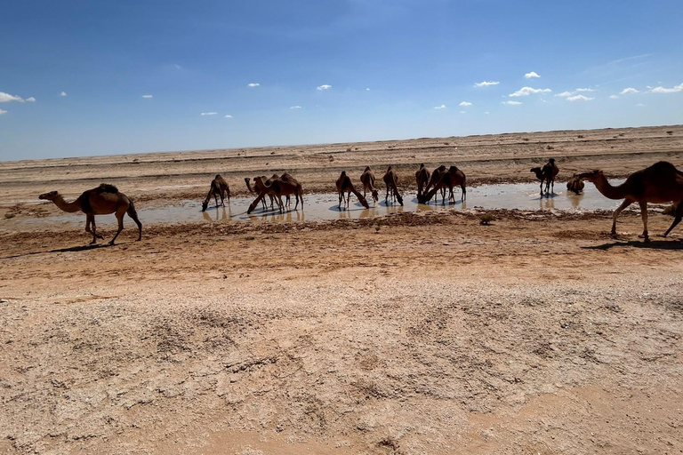 The Magic of Southern Tunisia: Private 3-Day Luxury Tour From Sousse / Monastir