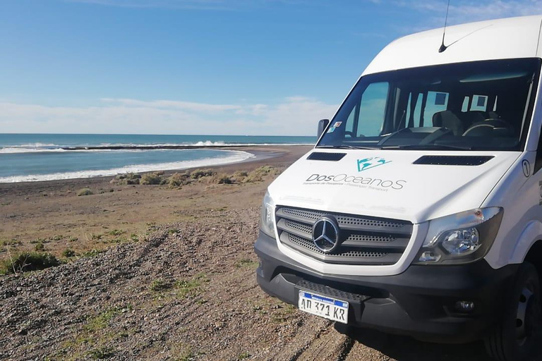 Puerto Madryn: El Doradillo Shore Whale Watching Tour Puerto Madryn: El Doradillo Coastal Whale Watching PRIVATE