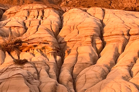 Day of Dinosaurs and Hoodoos From Calgary to Drumheller