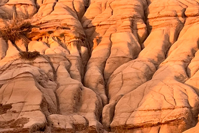 Day of Dinosaurs and Hoodoos From Calgary to Drumheller