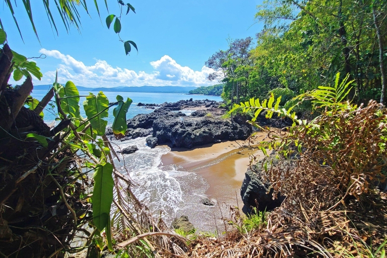 Bahía Drake: Explora Bahía Drake como un local Caminata guiada por la playa