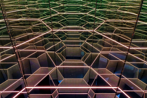 CaixaForum Madrid Private Guided Tour with Tickets 3.5-hour: CaixaForum, Exhibition Hall Tour & Transport