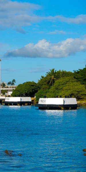 From Kahului, Lihue or Kona: Pearl Harbor & Honolulu Tour | GetYourGuide