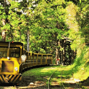 From Taipei: Taipingshan National Forest Private Day Tour