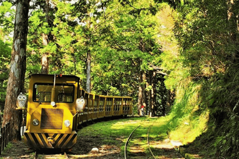 Da Taipei: Tour privato di un giorno della foresta nazionale di Taipingshan