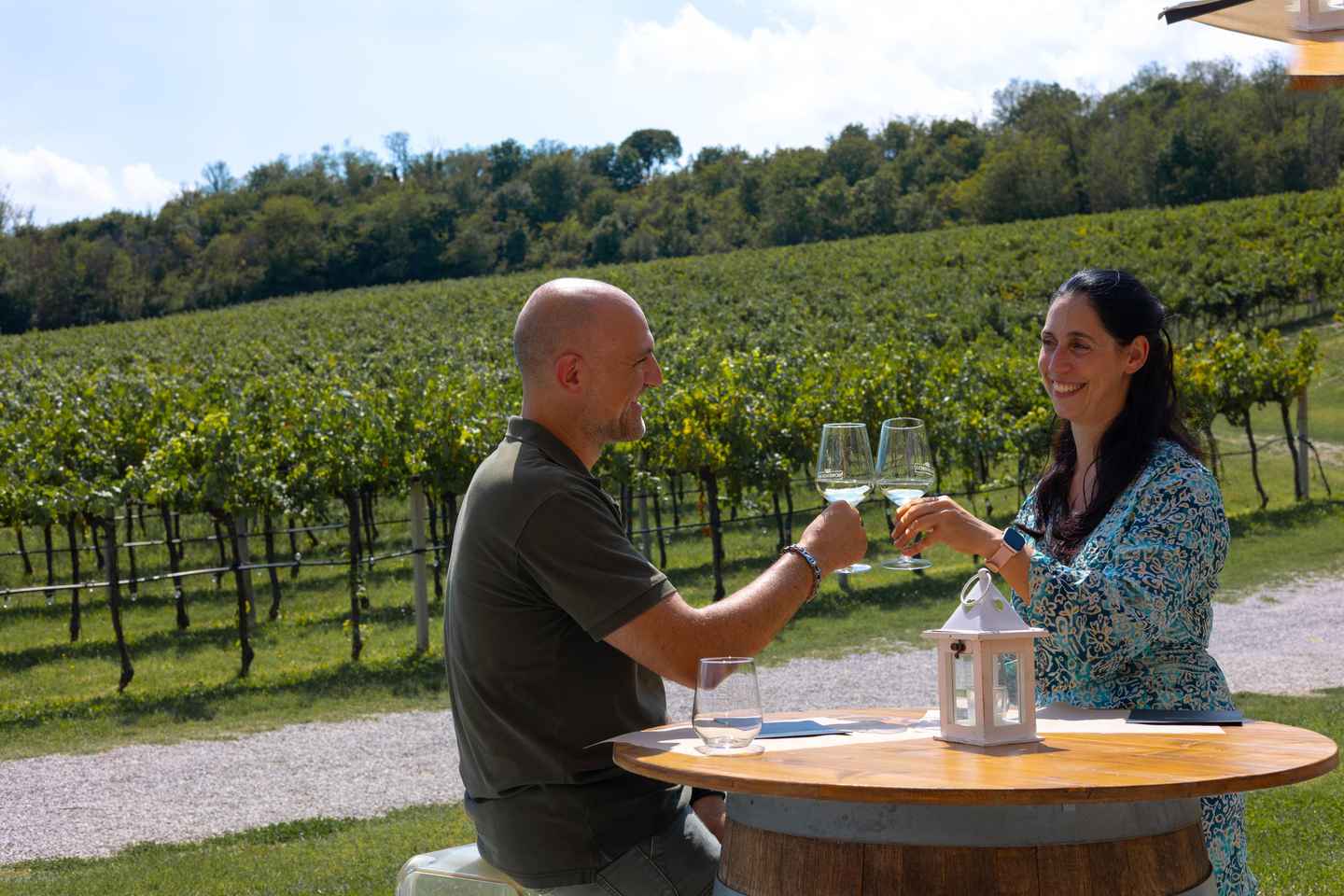 Da Abano e Montegrotto Terme: Tour degustazione del vino dei Colli Euganei