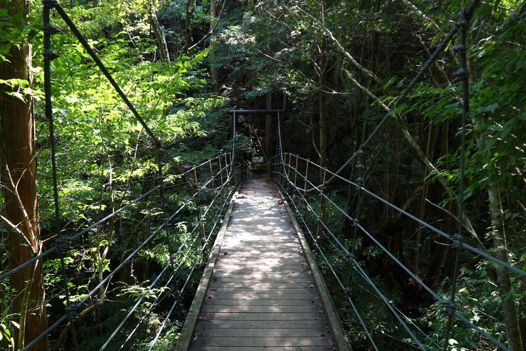 جولة صيفية فقط: جواهر وادي كيسو المخفية (ناغويا)