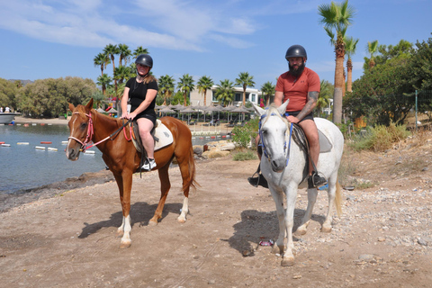 Bodrum Horse Riding Adventure