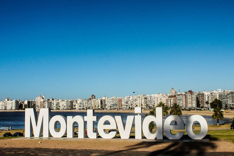 Montevideo: Half-Day City Tour with Live Guide Private Tour Montevideo: Half-Day City Tour with Live Guide