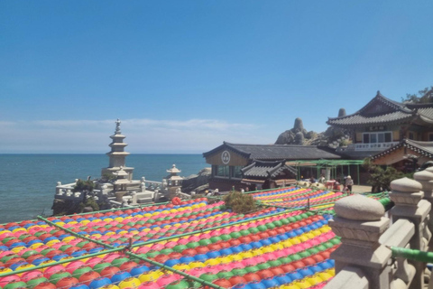 Busan: Guided Tour with Temple, Cave, and Palace Visits