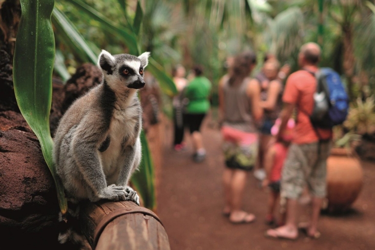 Oasis Wildlife Fuerteventura ticket & optionele rit kameelAlleen entreeticket