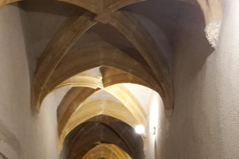 Lyon: Guided walk through the heart of the secret traboules