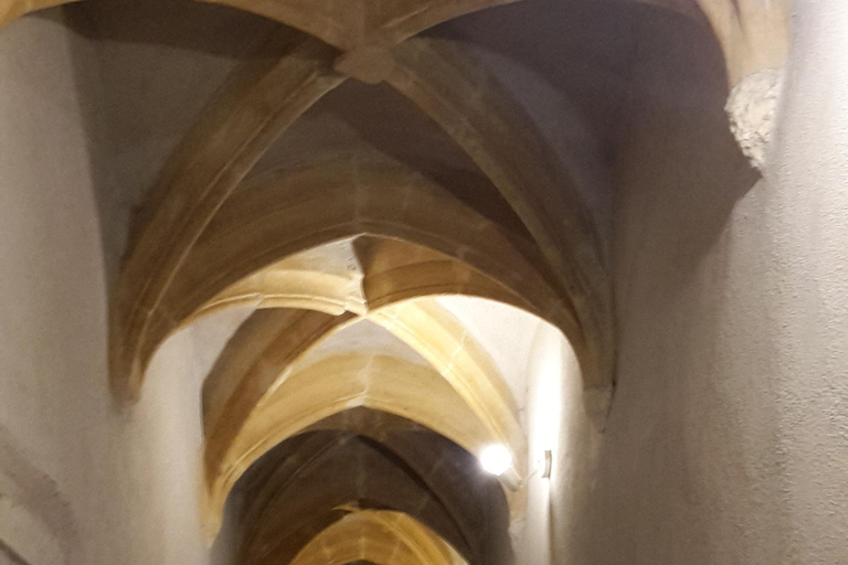 Lyon: Guided walk through the heart of the secret traboules